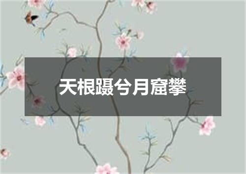 天根蹑兮月窟攀