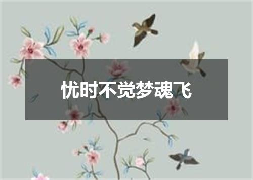 忧时不觉梦魂飞