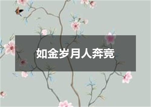如金岁月人奔竞