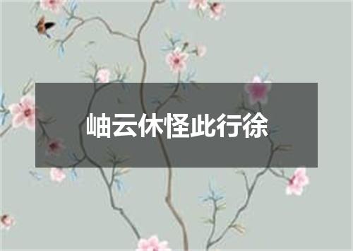 岫云休怪此行徐