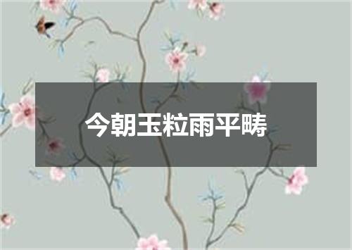 今朝玉粒雨平畴