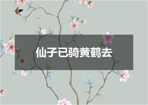 仙子已骑黄鹤去
