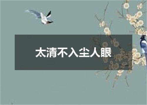 太清不入尘人眼