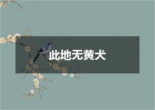 此地无黄犬