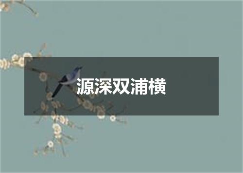 源深双浦横