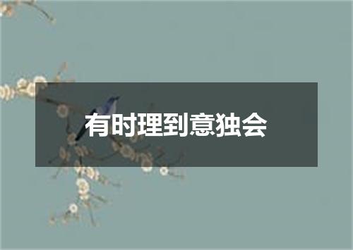 有时理到意独会