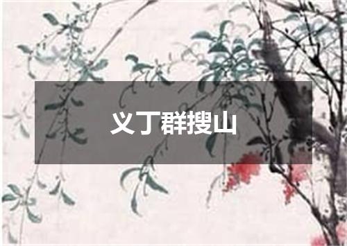 义丁群搜山