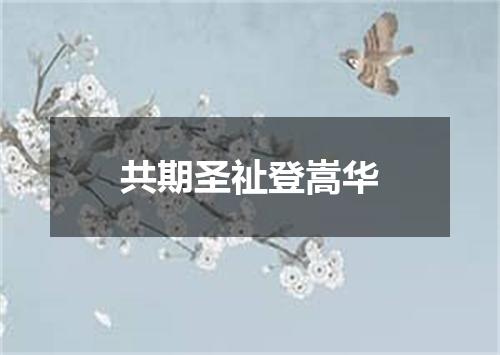 共期圣祉登嵩华