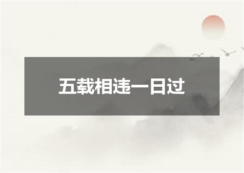 五载相违一日过