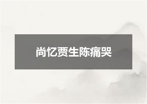 尚忆贾生陈痛哭
