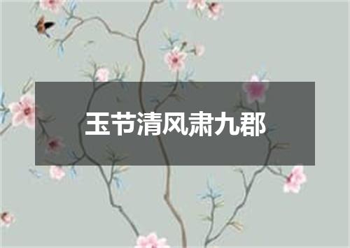 玉节清风肃九郡