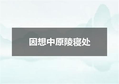 因想中原陵寝处