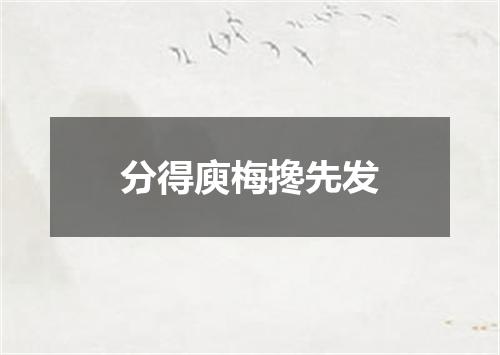 分得庾梅搀先发