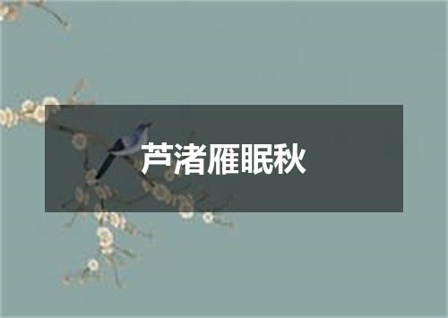 芦渚雁眠秋