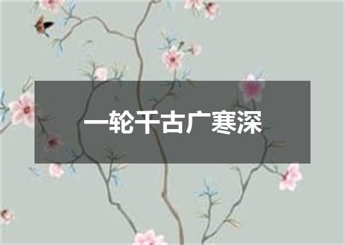 一轮千古广寒深