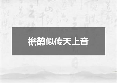 檐鹊似传天上音