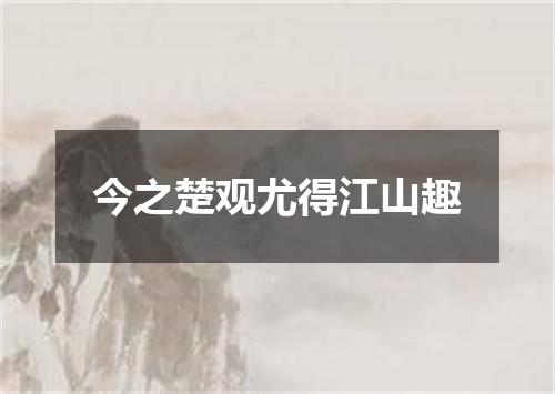 今之楚观尤得江山趣