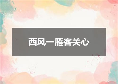 西风一雁客关心