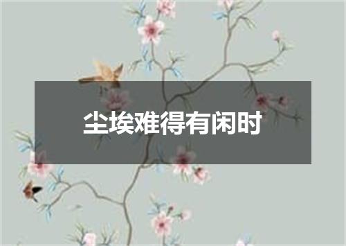 尘埃难得有闲时