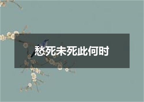 愁死未死此何时
