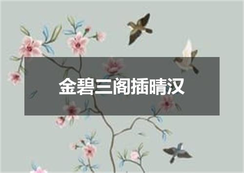 金碧三阁插晴汉