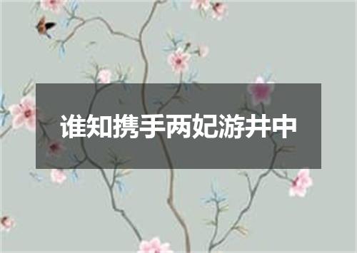 谁知携手两妃游井中
