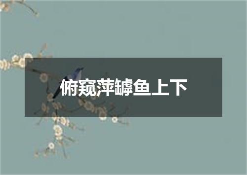 俯窥萍罅鱼上下