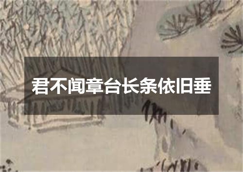 君不闻章台长条依旧垂