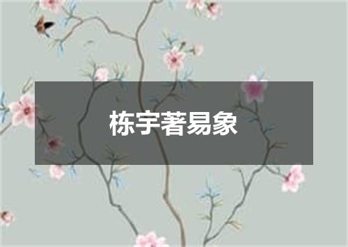 栋宇著易象