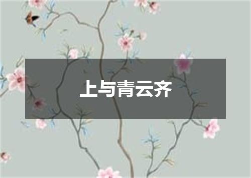 上与青云齐