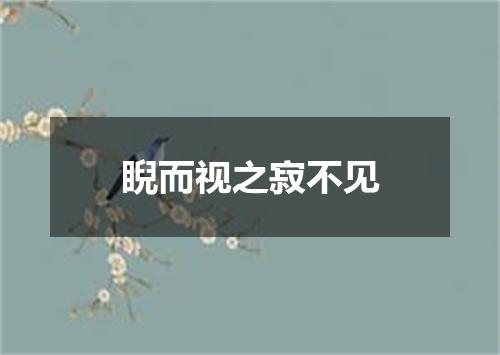 睨而视之寂不见