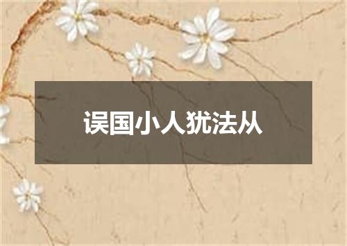 误国小人犹法从