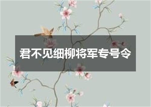 君不见细柳将军专号令