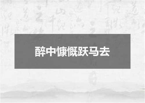 醉中慷慨跃马去