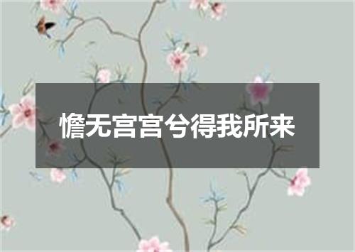 憺无宫宫兮得我所来