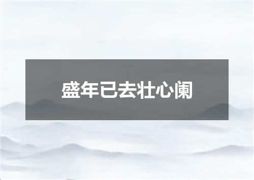 盛年已去壮心阑