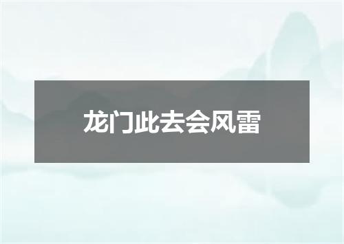 龙门此去会风雷