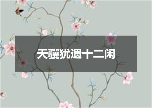 天骥犹遗十二闲