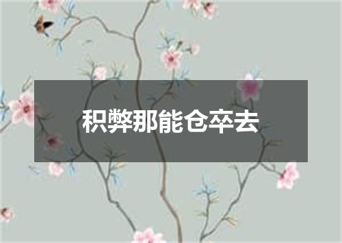 积弊那能仓卒去