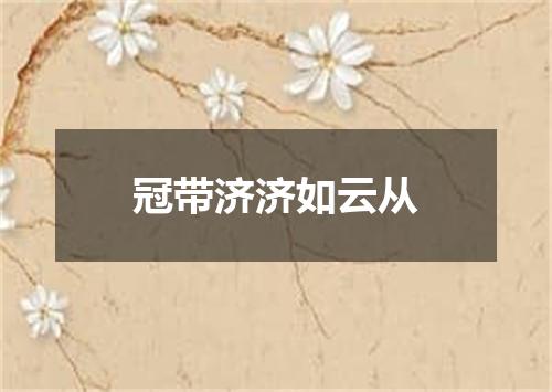 冠带济济如云从
