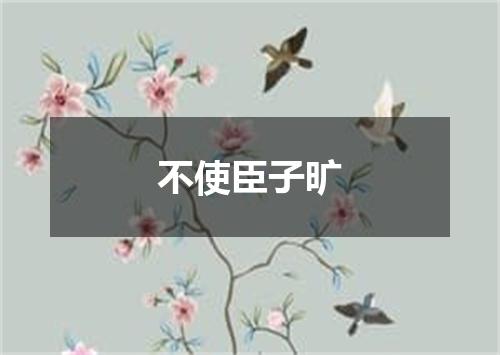 不使臣子旷