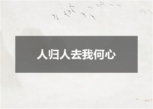 人归人去我何心