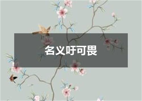 名义吁可畏