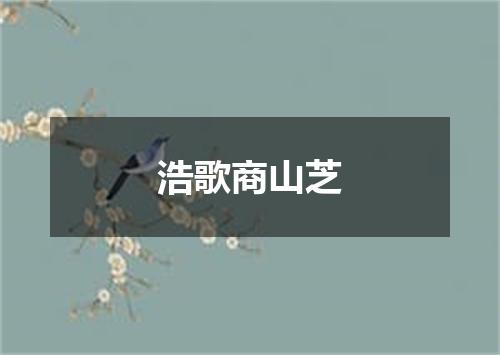 浩歌商山芝