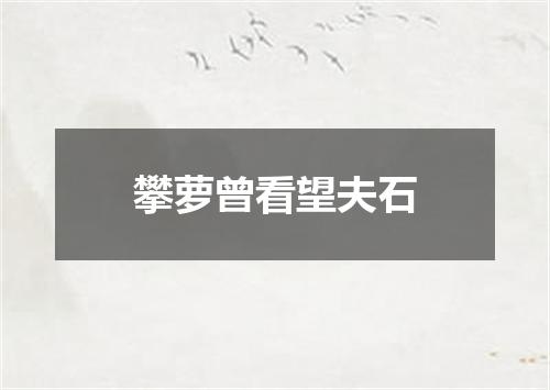 攀萝曾看望夫石