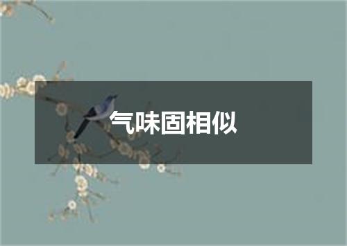 气味固相似