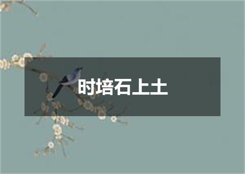 时培石上土