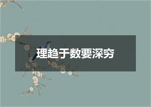理趋于数要深穷