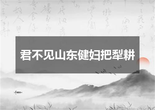 君不见山东健妇把犁耕