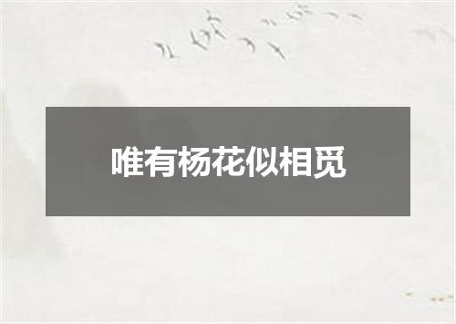 唯有杨花似相觅